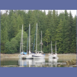 2003_3704_Columbia_Cove_Brooks_Peninsula.html