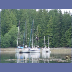 2003_3705_Columbia_Cove_Brooks_Peninsula.html