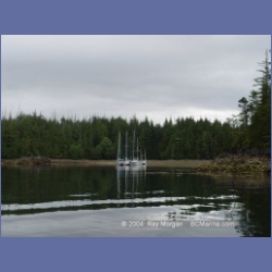 2003_3706_Columbia_Cove_Brooks_Peninsula.html