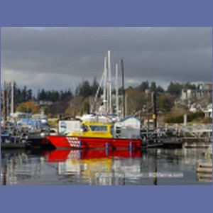 2004_5708_Comox_Harbour.JPG