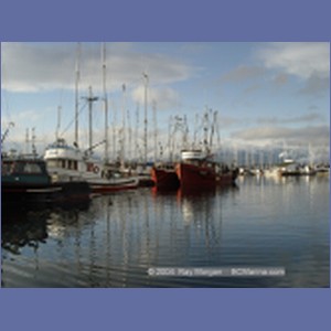 2004_5710_Comox_Harbour.JPG