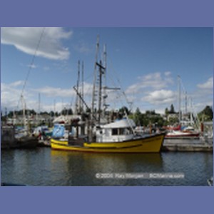 2004_6157_Comox_Harbour.JPG
