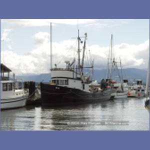 2004_6160_Comox_Harbour.JPG
