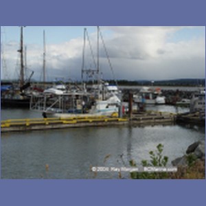 2004_6172_Comox_Harbour.JPG