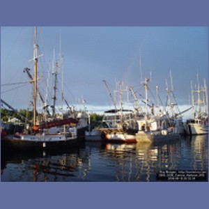 2006_0399_Comox_Harbour.JPG