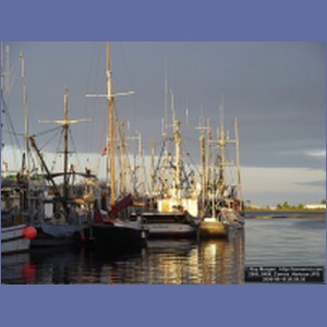 2006_0408_Comox_Harbour.JPG