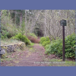 2003_1292_Conover_Cove.html