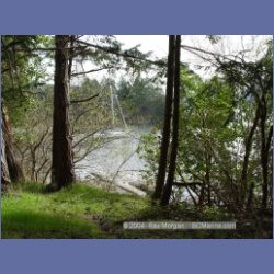 2003_1319_Conover_Cove.html