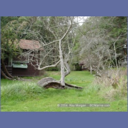 2003_1325_Conover_Cove.html
