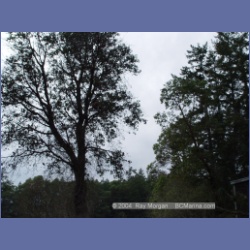 2003_1328_Conover_Cove.html