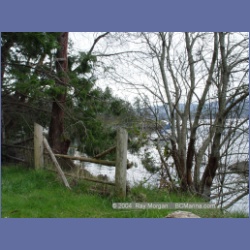 2003_1334_Conover_Cove.html
