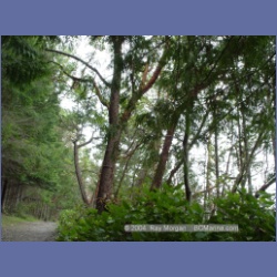 2003_1337_Conover_Cove.html