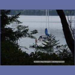 2003_1343_Conover_Cove.html