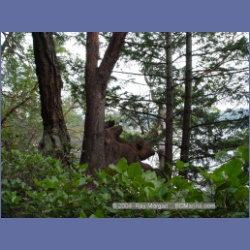 2003_1347_Conover_Cove.html