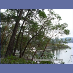 2003_1350_Conover_Cove.html