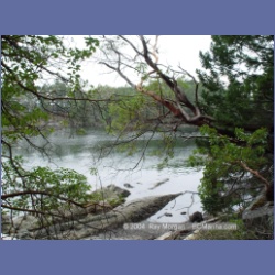 2003_1353_Conover_Cove.html