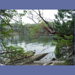 2003_1354_Conover_Cove.html