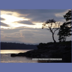 2003_1390_Conover_Cove.html