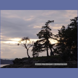 2003_1398_Conover_Cove.html