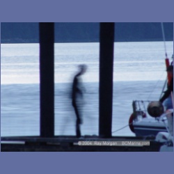 2003_1415_Conover_Cove.html