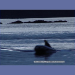 2003_1433_Conover_Cove.html