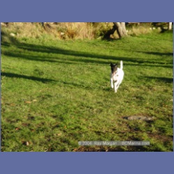 2004_5752_Conover_Cove.html