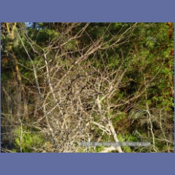 2004_5759_Conover_Cove.html