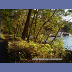 2004_5761_Conover_Cove.html