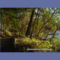 2004_5762_Conover_Cove.html
