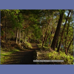 2004_5763_Conover_Cove.html