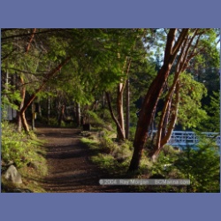 2004_5769_Conover_Cove.html