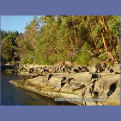 2004_5772_Conover_Cove.html