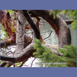 2004_5796_Conover_Cove.html