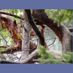 2004_5797_Conover_Cove.html