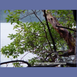 2004_5798_Conover_Cove.html