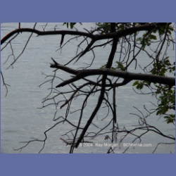 2004_5799_Conover_Cove.html