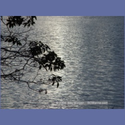 2004_5800_Conover_Cove.html