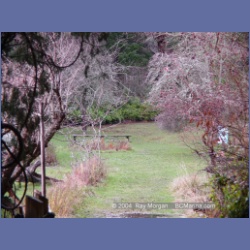 2004_5802_Conover_Cove.html