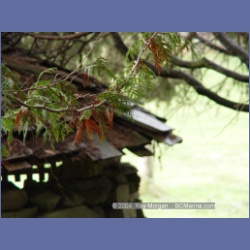 2004_5804_Conover_Cove.html