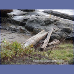 2004_5809_Conover_Cove.html