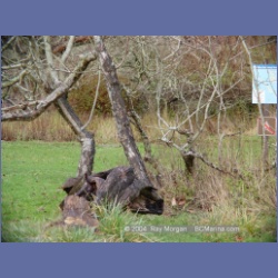 2004_5820_Conover_Cove.html