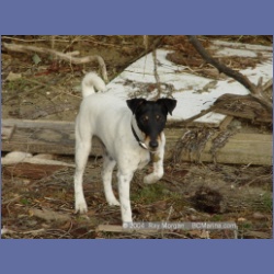 2004_6037_Conover_Cove.html