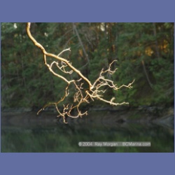 2004_6045_Conover_Cove.html