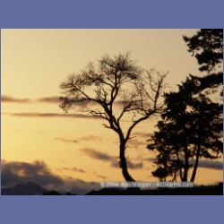 2004_6050_Conover_Cove.html