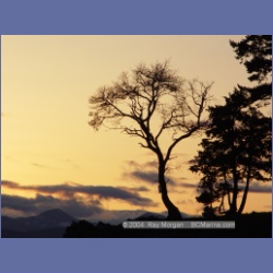 2004_6054_Conover_Cove.html