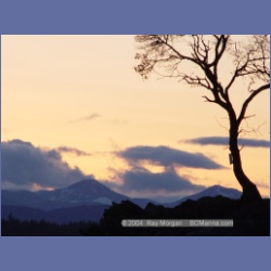 2004_6059_Conover_Cove.html
