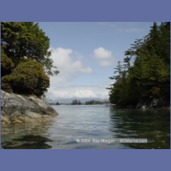 2003_2475_Cooper_Island_Barkley_Sound.html