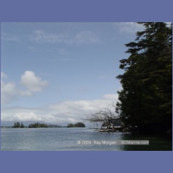 2003_2476_Cooper_Island_Barkley_Sound.html