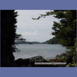 2003_2480_Cooper_Island_Barkley_Sound.html