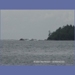 2003_2481_Cooper_Island_Barkley_Sound.html